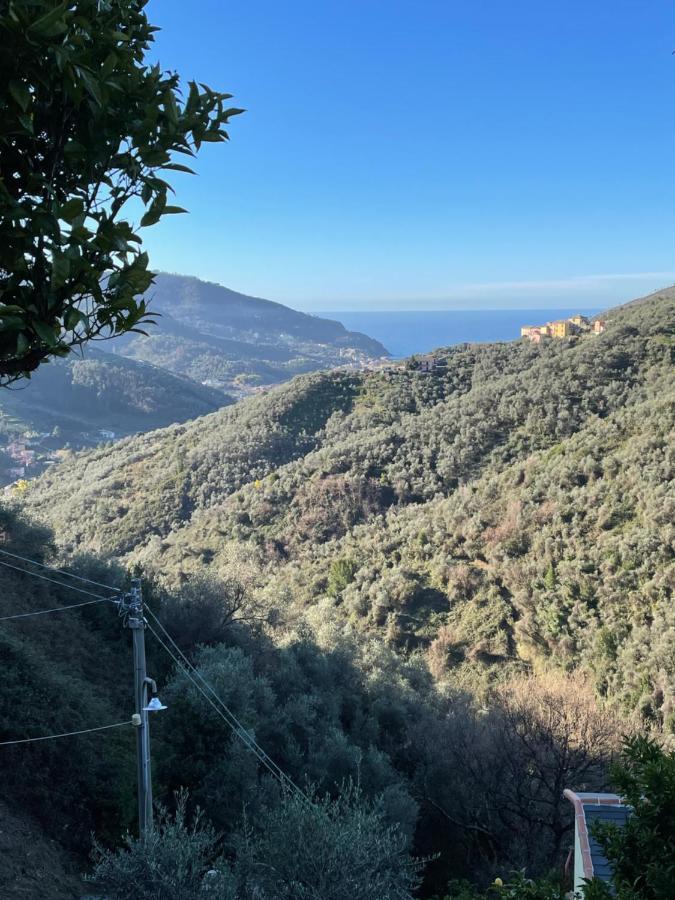 Le Di Petra Apartment Vignana