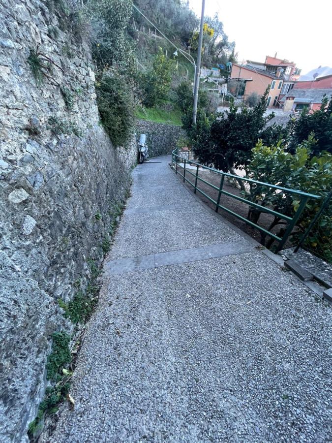 Apartment Le Di Petra Vignana