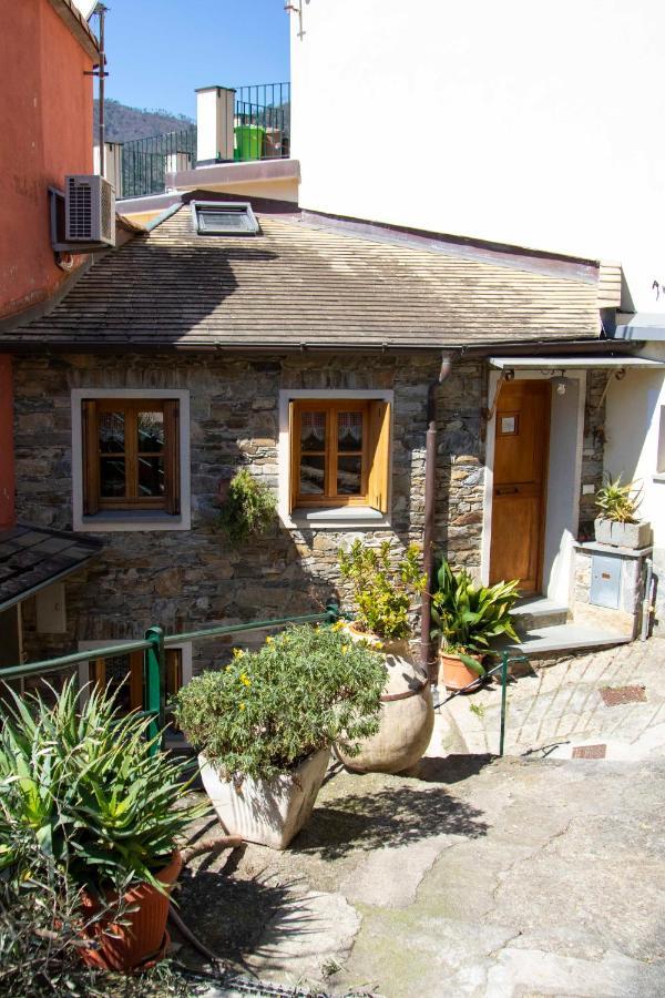 Le Di Petra Apartment *