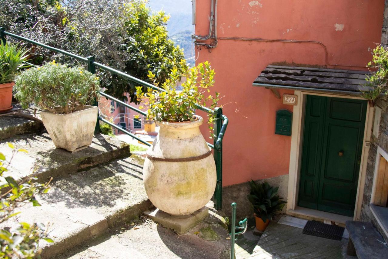 Le Di Petra Apartment Vignana